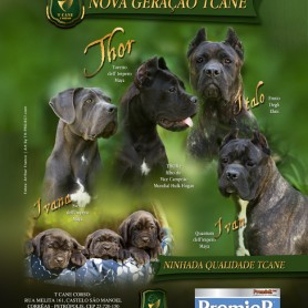 Galeria de Imagens TCane: Cães de Fato Magazine March/2016