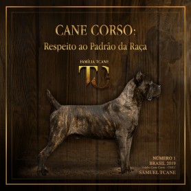 Galeria de Imagens TCane: Cane Corso: Respect for breed standards