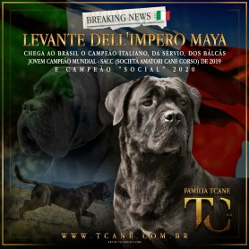 Galeria de Imagens TCane: Levante Dell'Impero Maya is coming to Brazil!