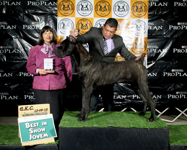 Imagem Noticia TCane