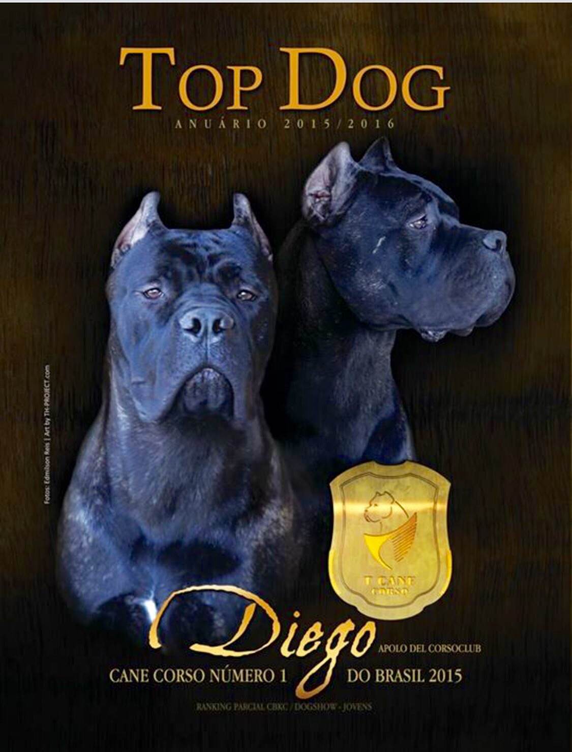 Imagem Noticia TCane