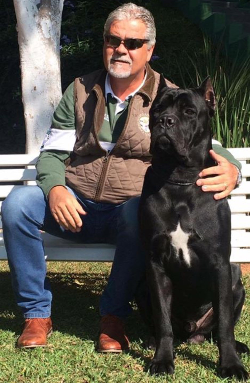 Imagem Noticia TCane