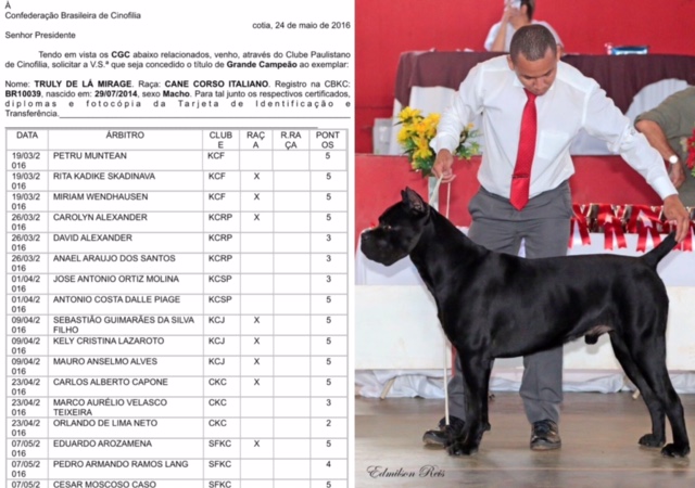 Imagem Noticia TCane