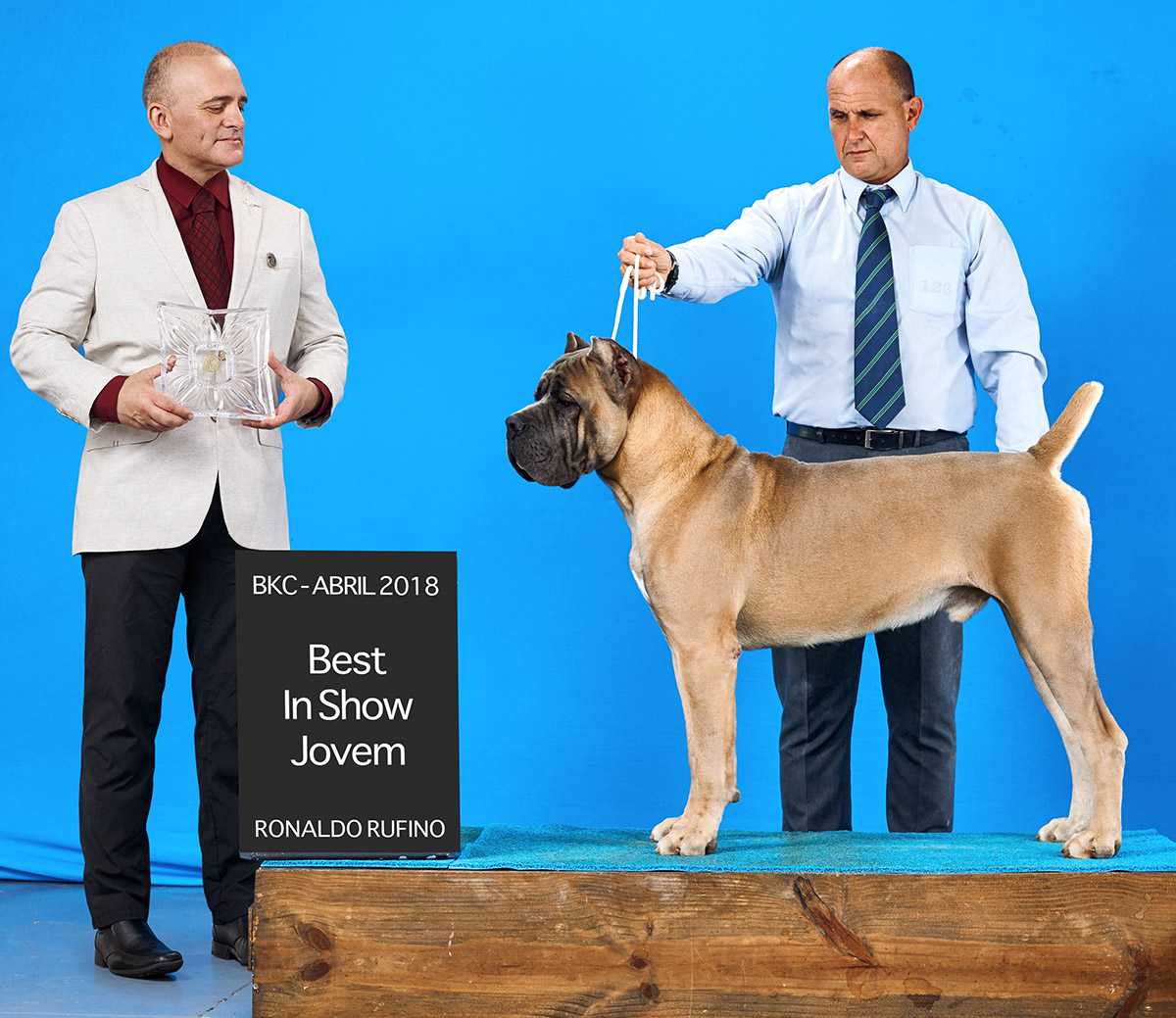 Imagem Noticia TCane