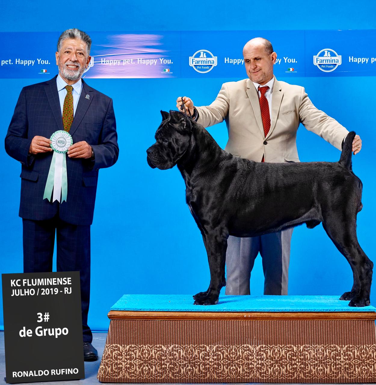 Imagem Noticia TCane