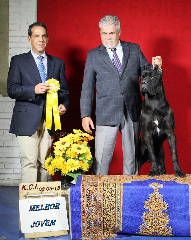 Imagem Noticia TCane