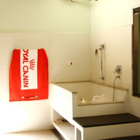 Galeria de Imagens TCane: Nossa Sala de Banho/Tosa e Veterinária