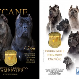 Galeria de Imagens TCane: TCane: Produzindo e Formando Campeões - CBKC Julho/2016