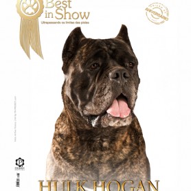 Galeria de Imagens TCane: Hulk Hogan no Brasil - Capa Revista Best in Show