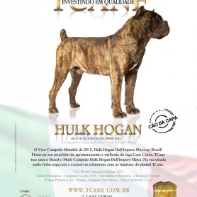 Galeria de Imagens TCane: Hulk Hogan - TCane investindo em Qualidade - Revista Best in Show