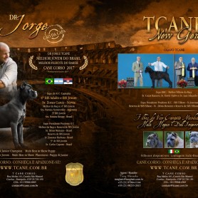 Galeria de Imagens TCane: Revista Best in Show