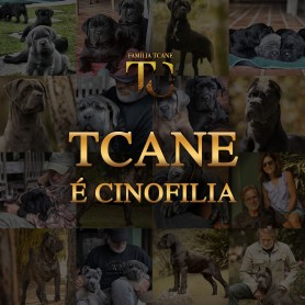 Galeria de Imagens TCane: Post Instagram @tcanecorso: TCane é Cinofilia