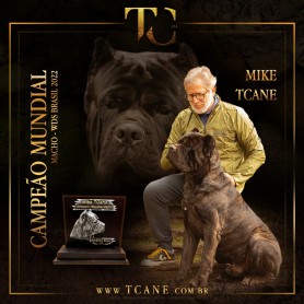 Galeria de Imagens TCane: Mike TCane: Campeão Mundial